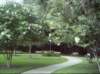 kittydill_dsci0039_small.jpg