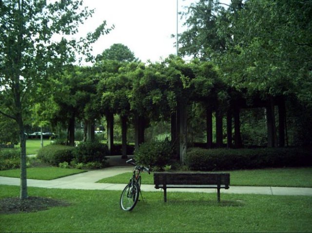 kittydill_dsci0040.jpg