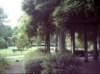 kittydill_dsci0042_small.jpg