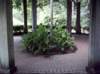 kittydill_dsci0043_small.jpg