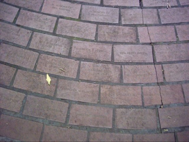 kittydill_dsci0044.jpg