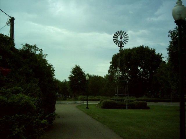 kittydill_dsci0046.jpg