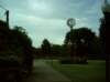kittydill_dsci0046_small.jpg