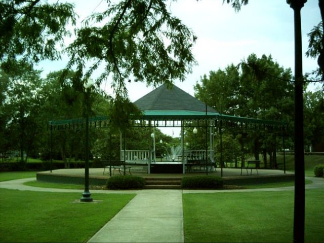 kittydill_dsci0051.jpg