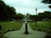 kittydill_dsci0053_small.jpg