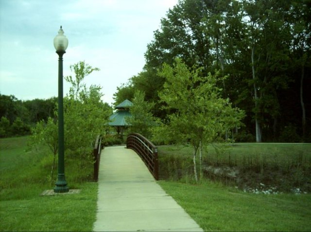 kittydill_dsci0061.jpg