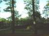 dsci0017_small.jpg