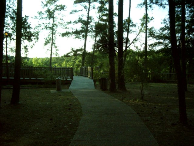 dsci0021.jpg
