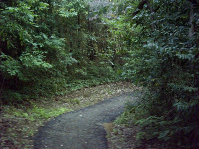 dsci0033.jpg