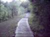 dsci0034_small.jpg