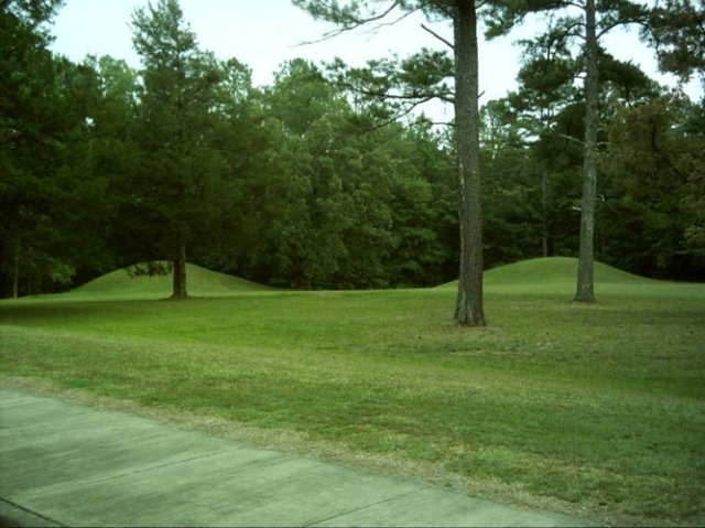 natcheztrace_dsci0004.jpg
