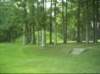 natcheztrace_dsci0022_small.jpg