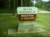 natcheztrace_dsci0024_small.jpg