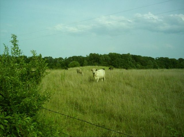 natcheztrace_dsci0046.jpg