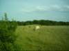 natcheztrace_dsci0046_small.jpg