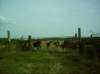 natcheztrace_dsci0047_small.jpg