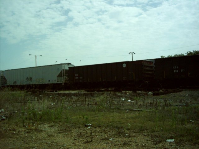 dsci0104.jpg