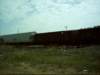 dsci0104_small.jpg