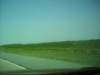 cottonfields_small.jpg