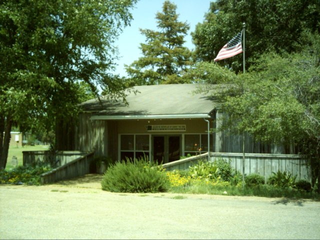 dsci0039.jpg