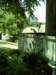 dsci0044_small.jpg