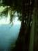 dsci0048_small.jpg