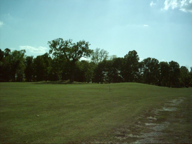 dsci0180.jpg
