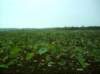 noxubee_dsci0047_small.jpg