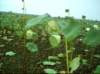 noxubee_dsci0049_small.jpg