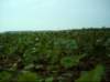 noxubee_dsci0051_small.jpg