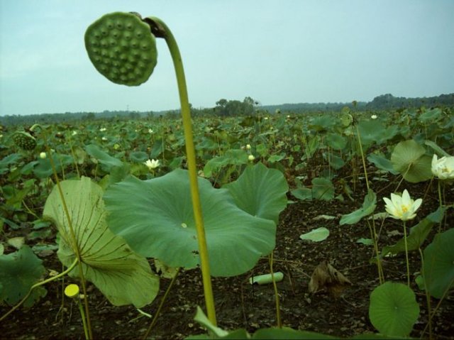 noxubee_dsci0053.jpg