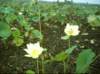noxubee_dsci0054_small.jpg
