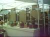 dsci0051_small.jpg