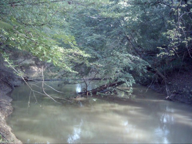 dsci0003.jpg