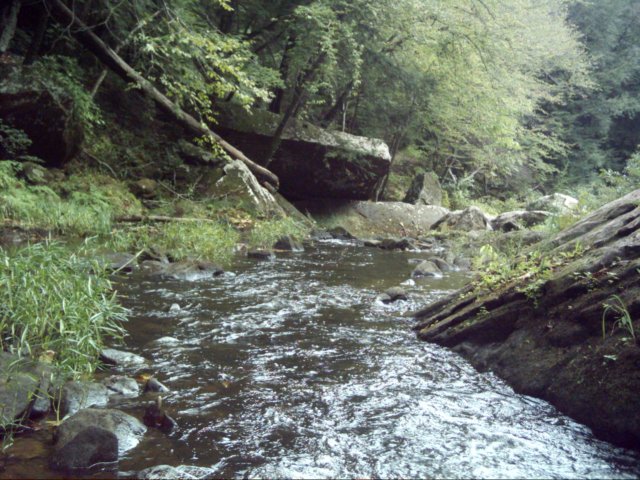 dsci0073.jpg
