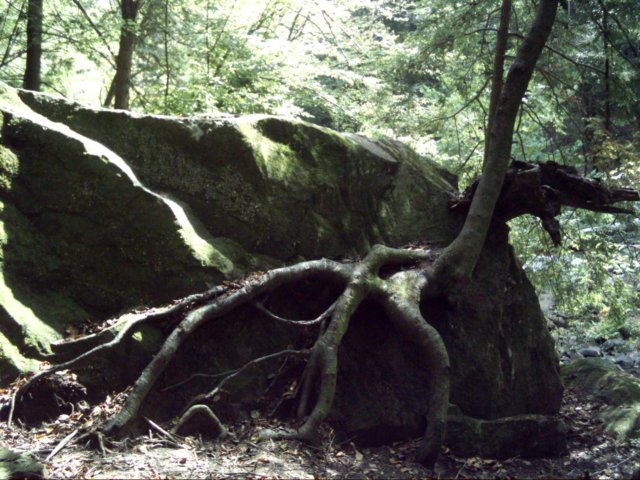 dsci0082.jpg