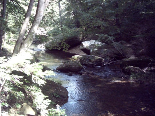 dsci0089.jpg