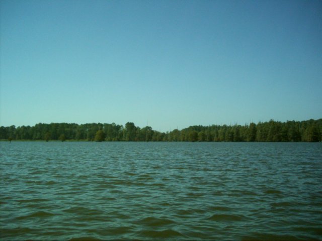 dsci0009.jpg