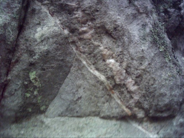 dsci0115.jpg