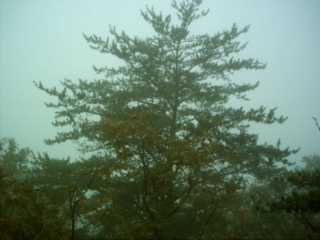 dsci0126.jpg