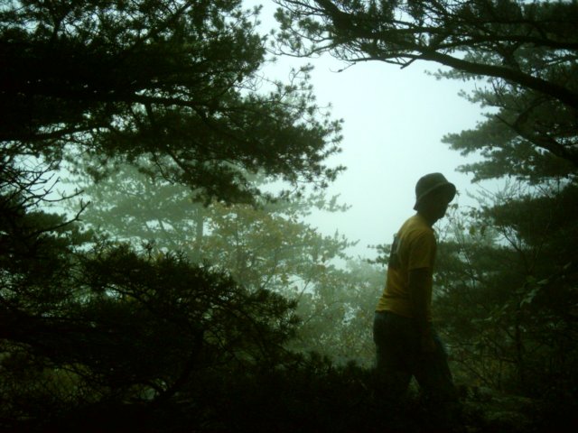 dsci0130.jpg