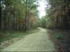 noxubeecrest_dsci0071_small.jpg