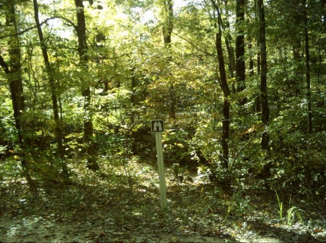noxubeecrest_dsci0081.jpg