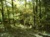 noxubeecrest_dsci0081_small.jpg