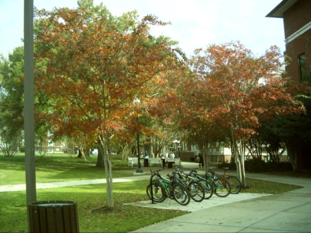 dsci0045.jpg