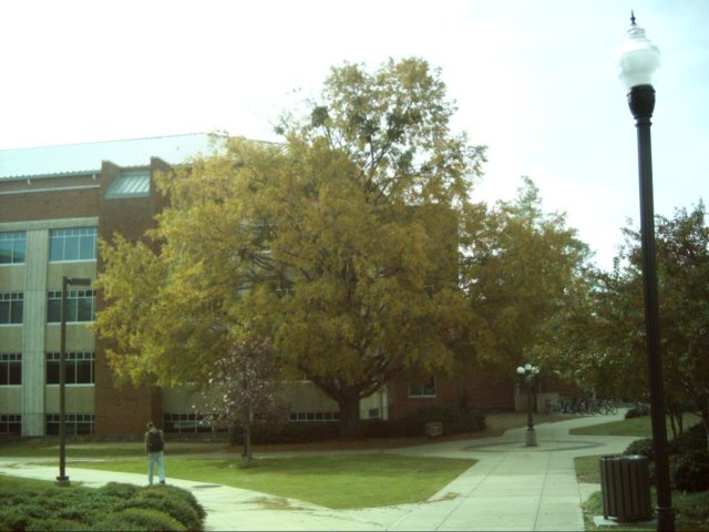 dsci0046.jpg