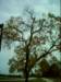 dsci0059_small.jpg