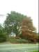 dsci0065_small.jpg