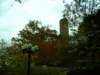 dsci0067_small.jpg