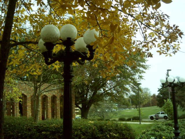 dsci0071.jpg